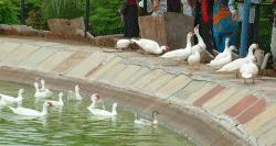 sarthana-national-park-surat-india-tourism-history